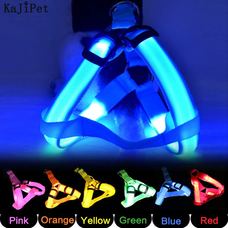 Rechargeable Luminous LED Dog Leash - Image 2