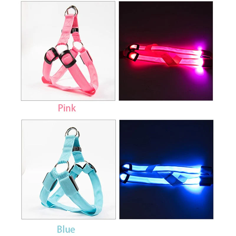 Rechargeable Luminous LED Dog Leash - Image 3