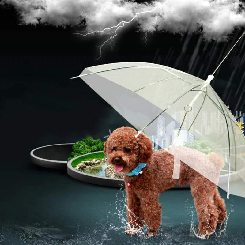 Creative Pet Walking Transparent Umbrella - Image 1