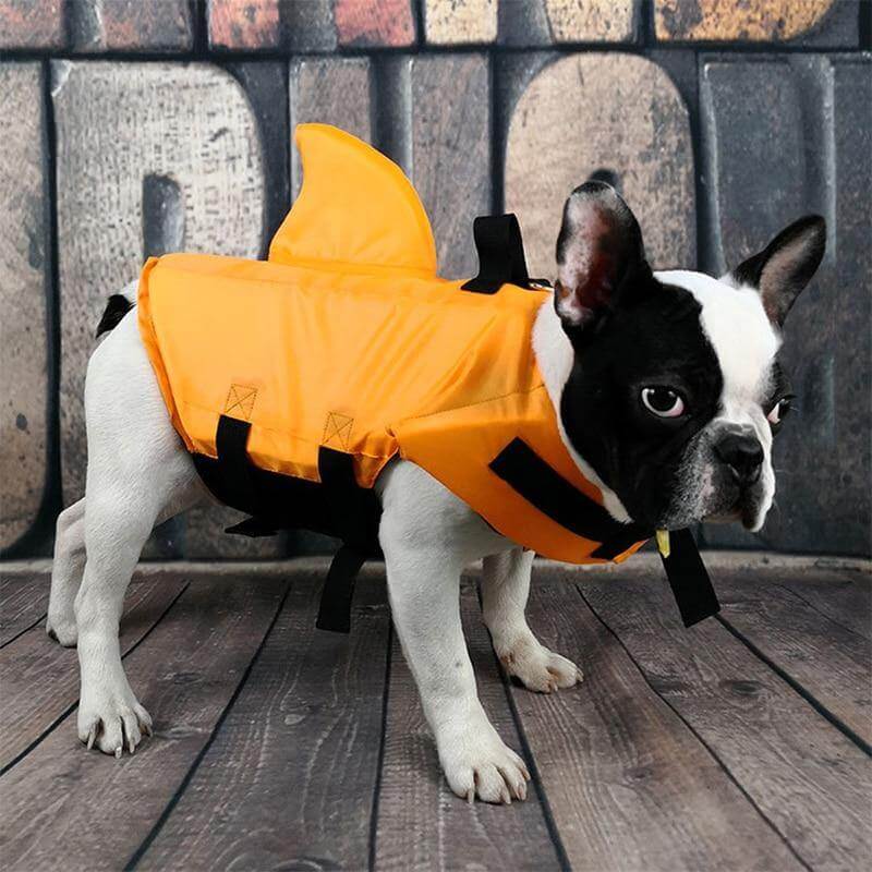 Dog Shark Pet Swimming Life Jacket - Image 2