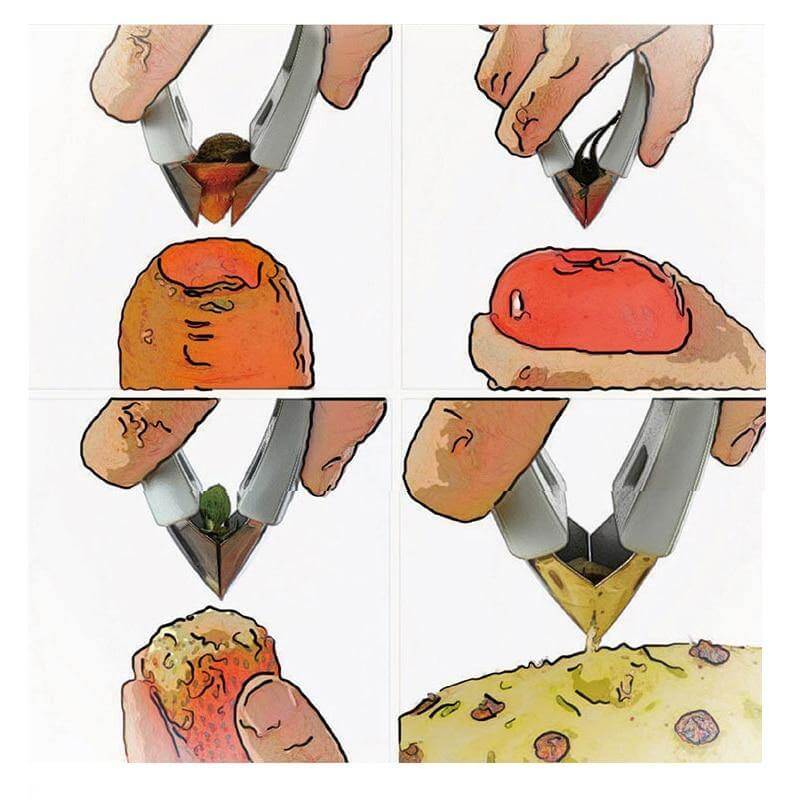Fruit Stem Remover Tweezer Tool - Image 2