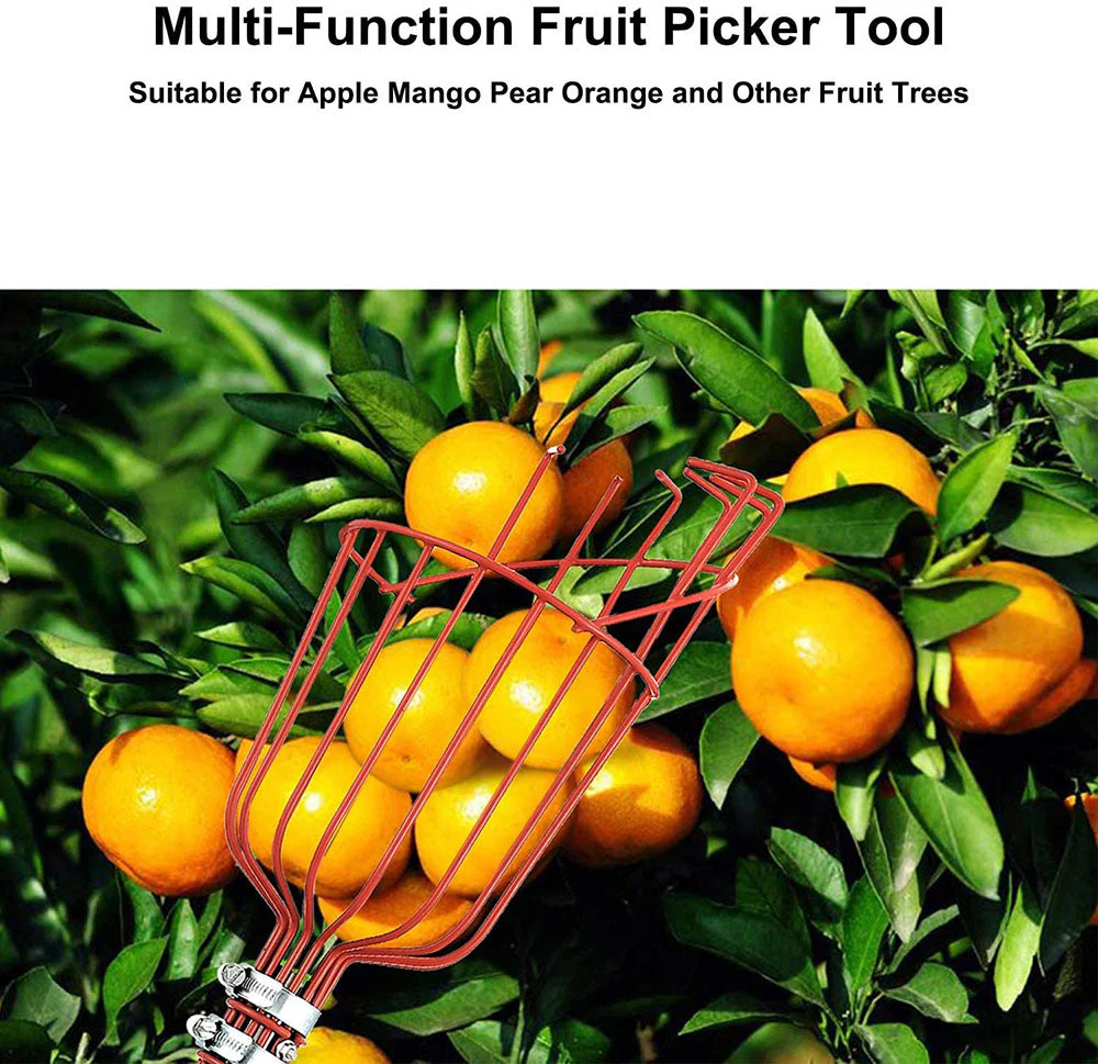 High Branch Fruit Picker - Image 3