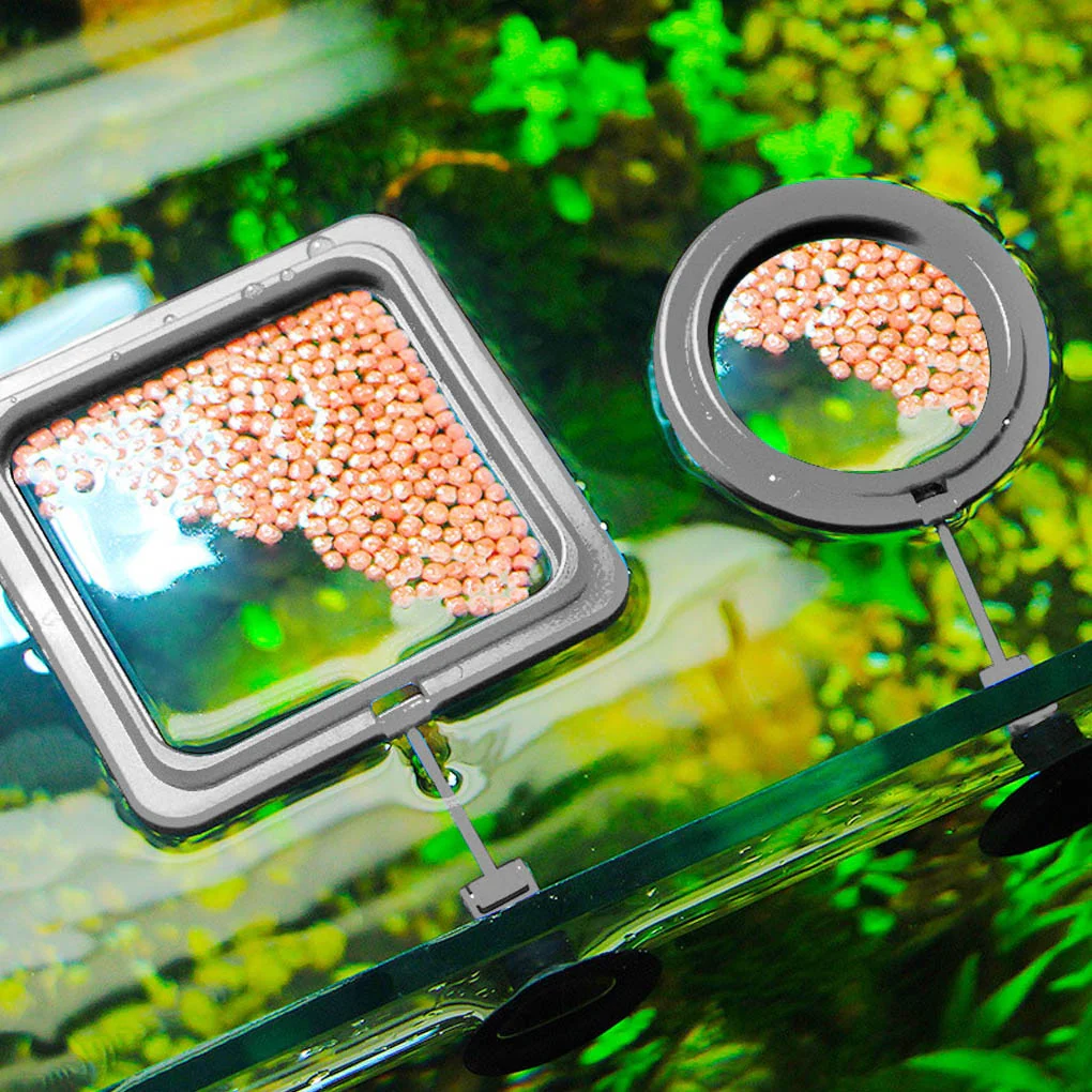 Creative Aquarium Floating Fish Feeder Tray - Image 1