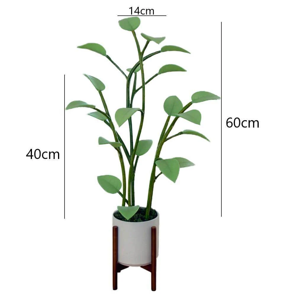 Magical Houseplant LED Night Light - Image 3