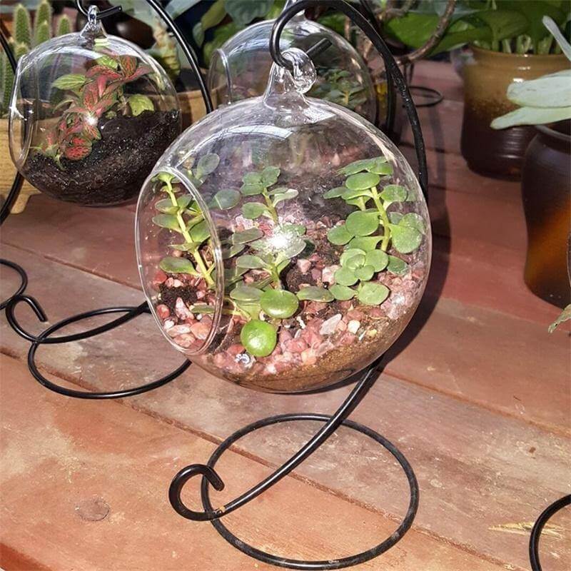 Creative Clear Glass Ball Vase - Image 2