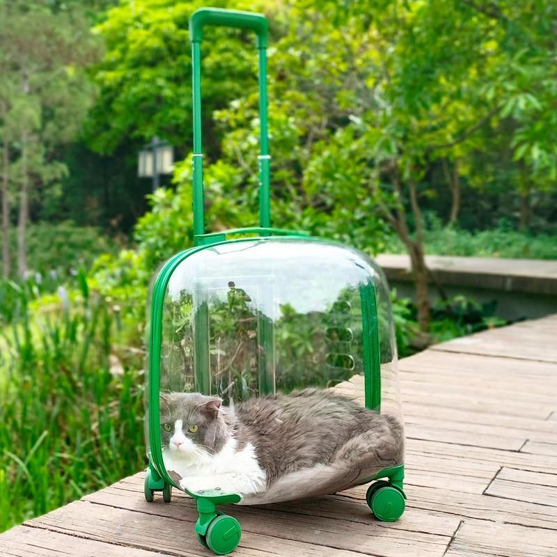 Transparent Pet Travel Trolley Capsule - Image 1
