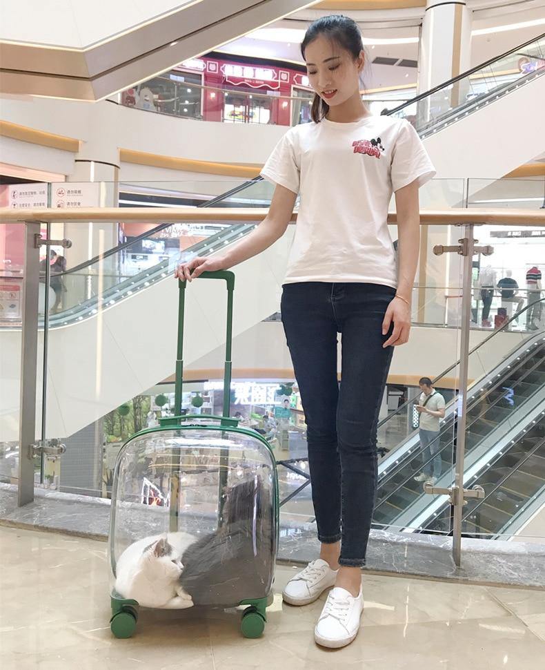 Transparent Pet Travel Trolley Capsule - Image 2
