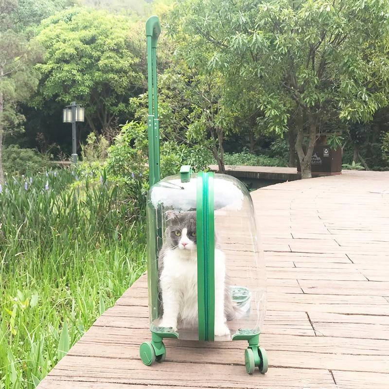 Transparent Pet Travel Trolley Capsule - Image 3