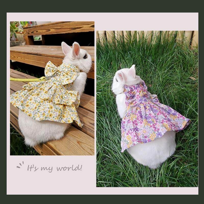 Rabbit Cute Jean Dress - Image 2