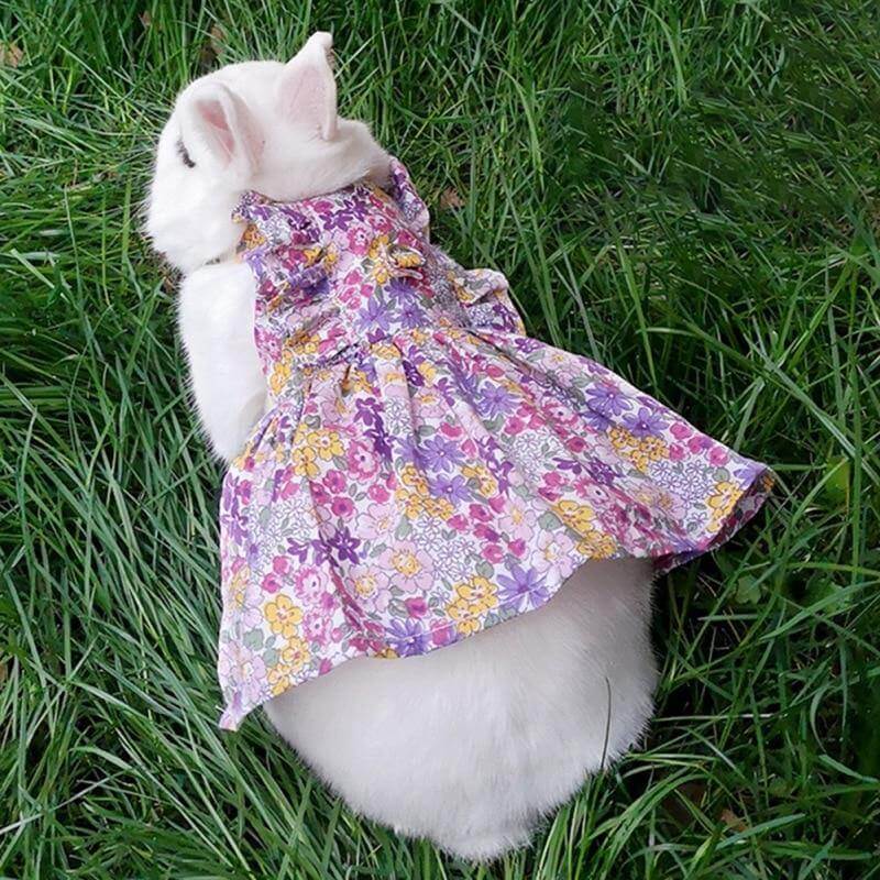 Rabbit Cute Jean Dress - Image 3