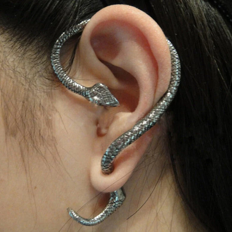 Twining Snake Punk Style  Earrings - Image 1