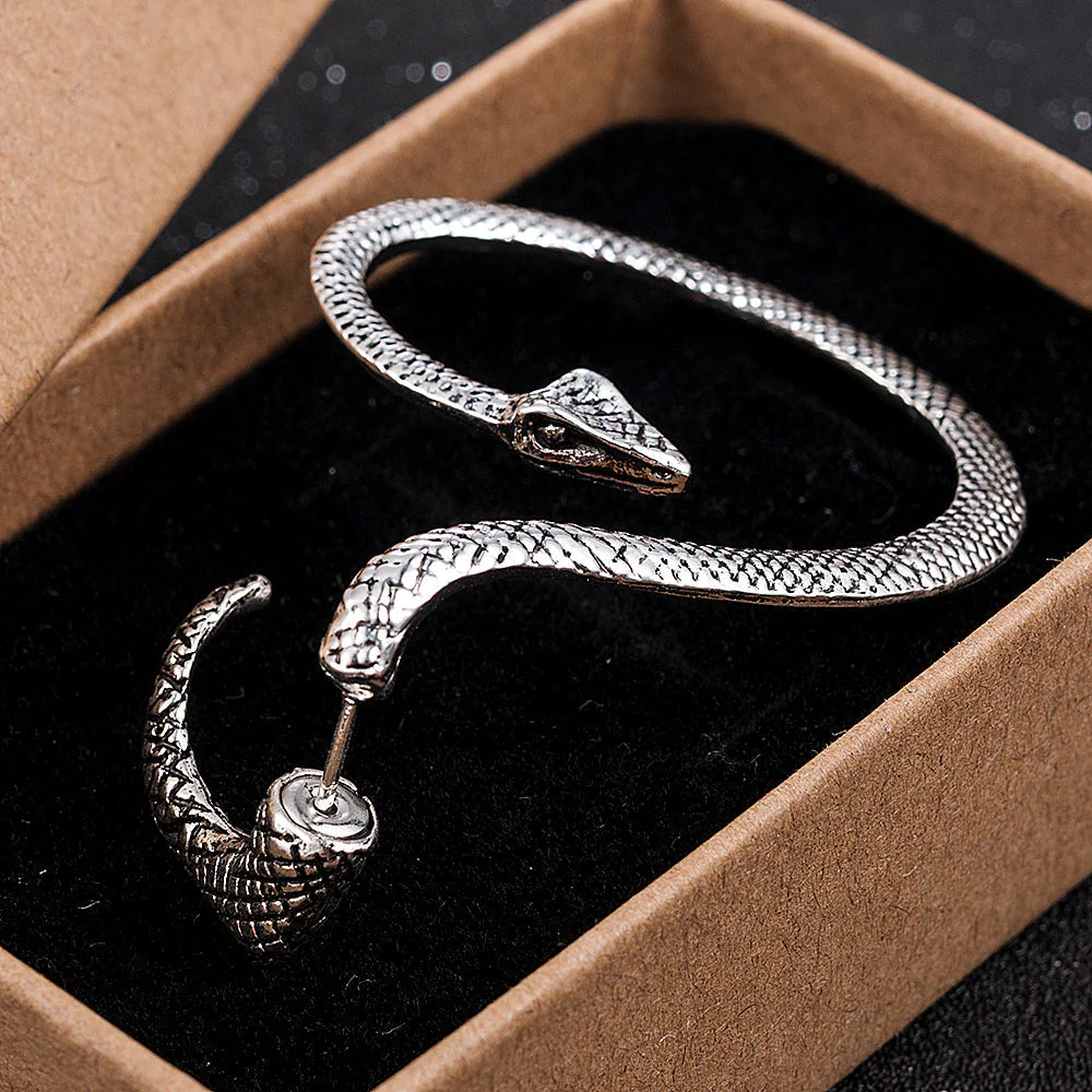 Twining Snake Punk Style  Earrings - Image 2