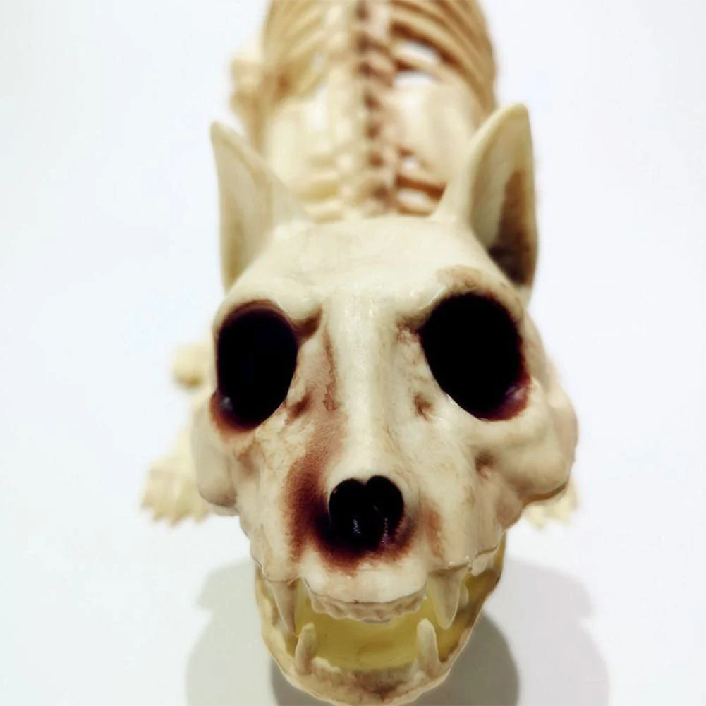 Skeleton Pet Figurines - Image 3
