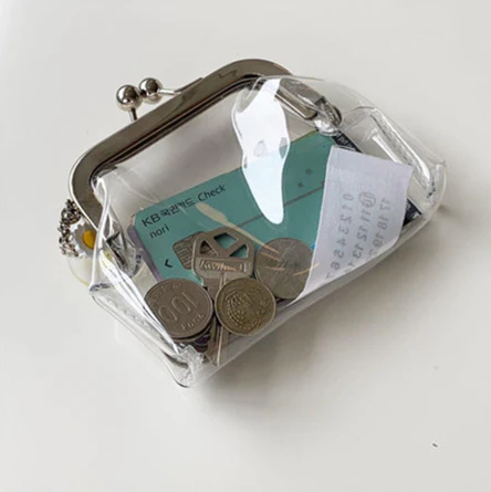 Transparent Minimalist Iron Mouth Purse - Image 1
