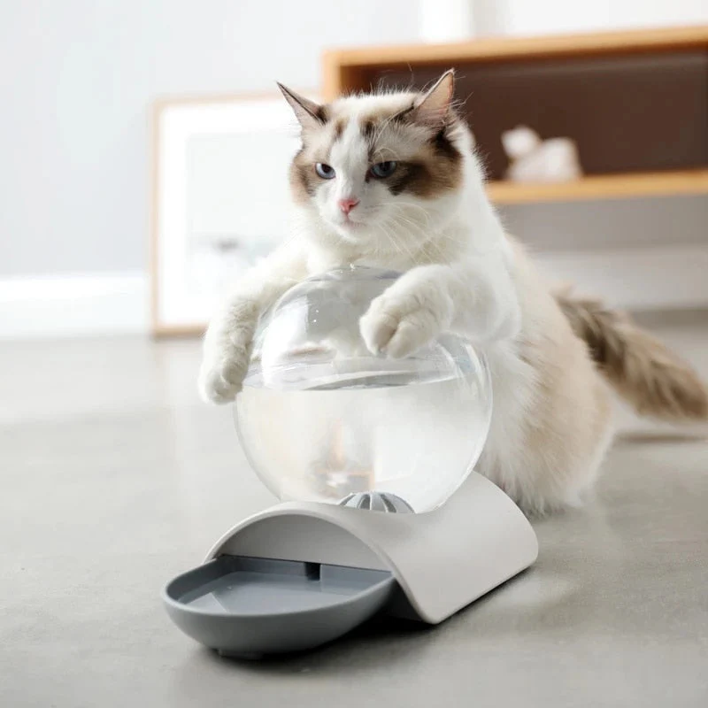 Bubble Automatic Pet Water Feeder - Image 3