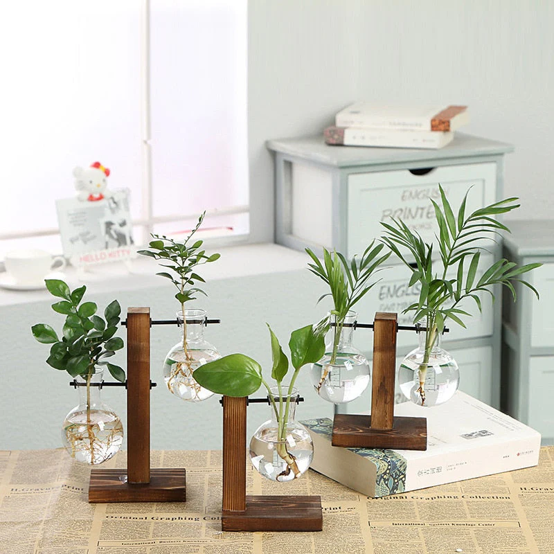 Terrarium Hydroponic Vintage Tabletop Vase - Image 1