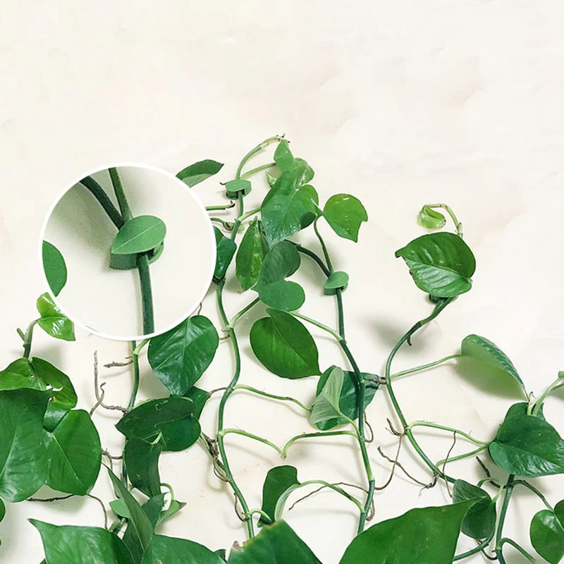 10pcs Leaf Shape Self-Adhesive Hook - Image 2