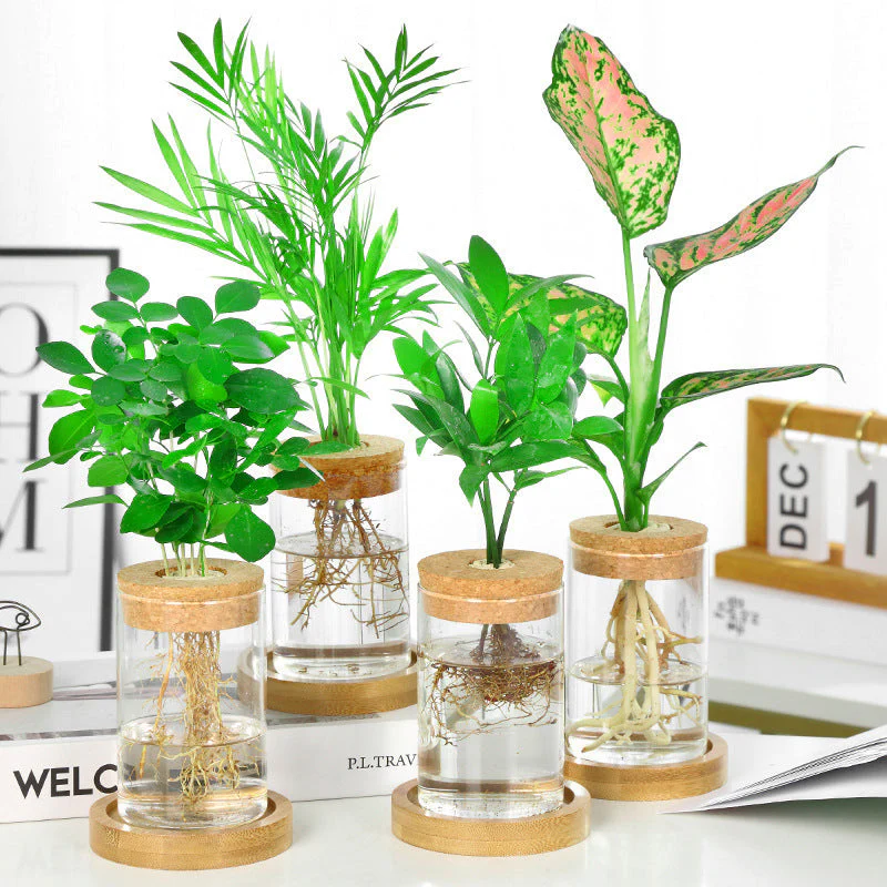 Nordic Transparent Glass Wooden Flower Vase - Image 1