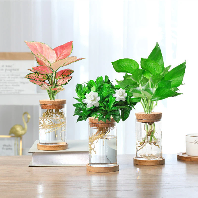 Nordic Transparent Glass Wooden Flower Vase - Image 3