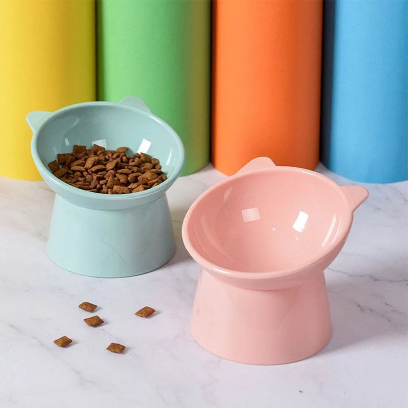 Tilted High Pet Food Water Bowl
