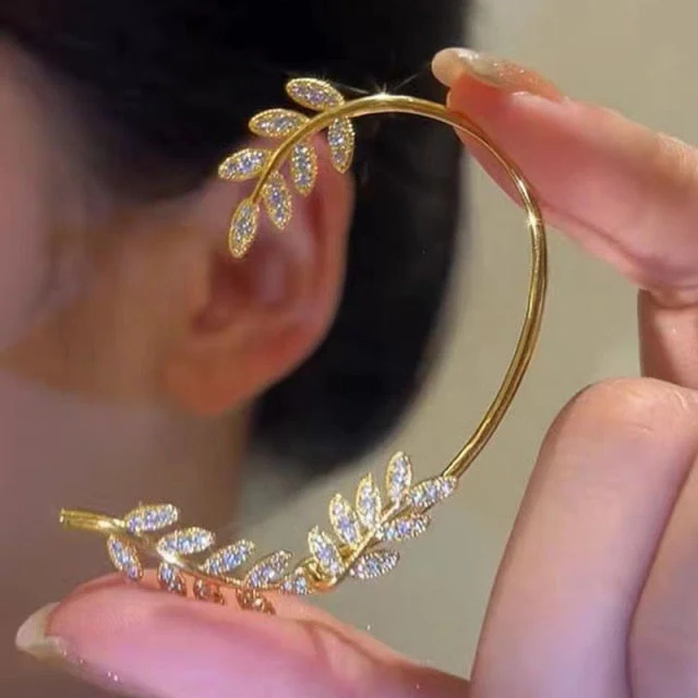 Elegant Adjustable Ear Clips Earrings - Image 3