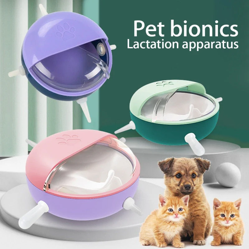 Baby Pet Feeding Bowl - Image 2