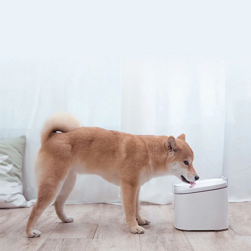 Smart Automatic Pet Water Dispenser - Image 2