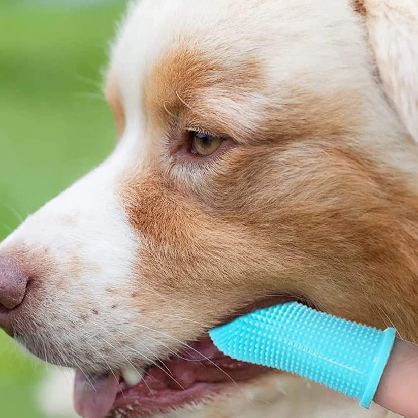 Creative Pet Finger Toothbrush - Image 1