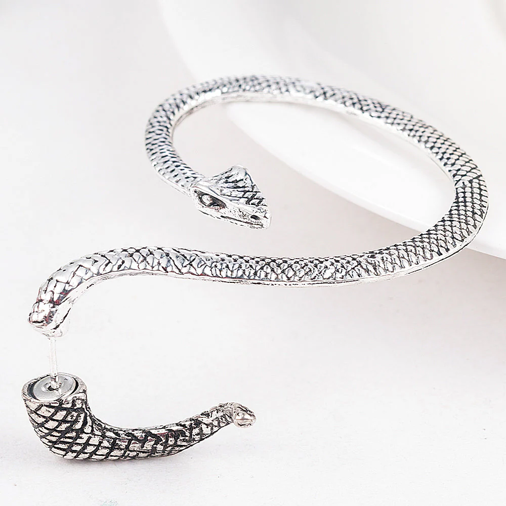 Twining Snake Punk Style  Earrings - Image 3