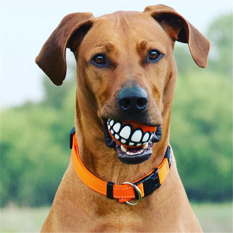Funny Smile Rubber Pet Chew Toys - Image 1