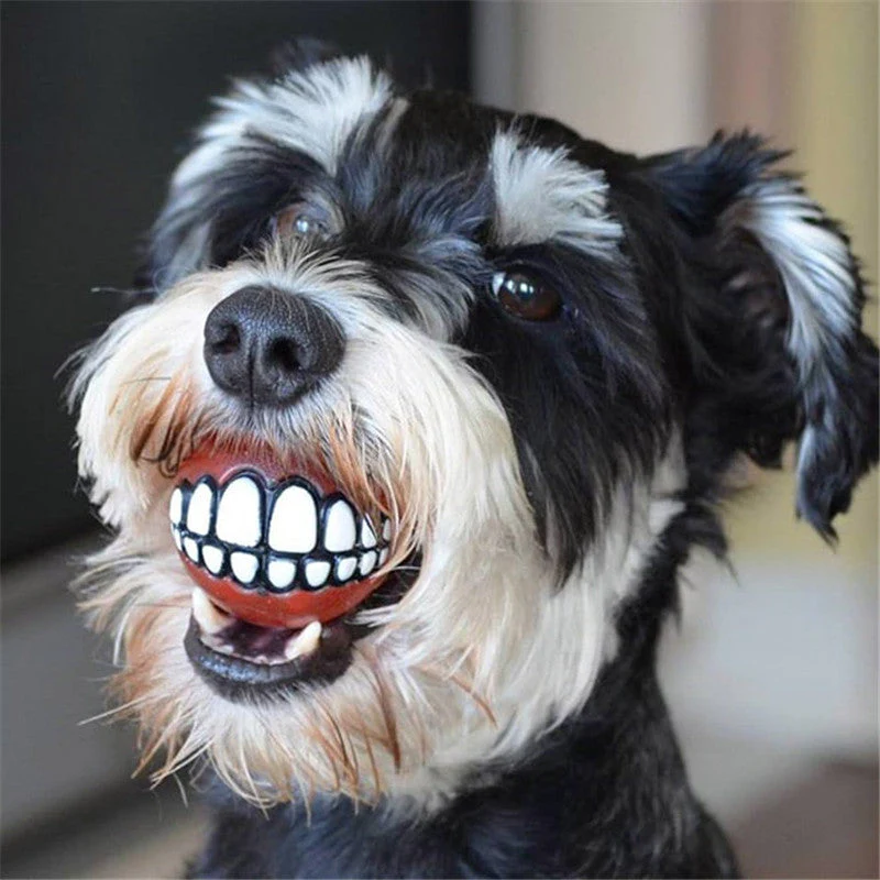 Funny Smile Rubber Pet Chew Toys - Image 3