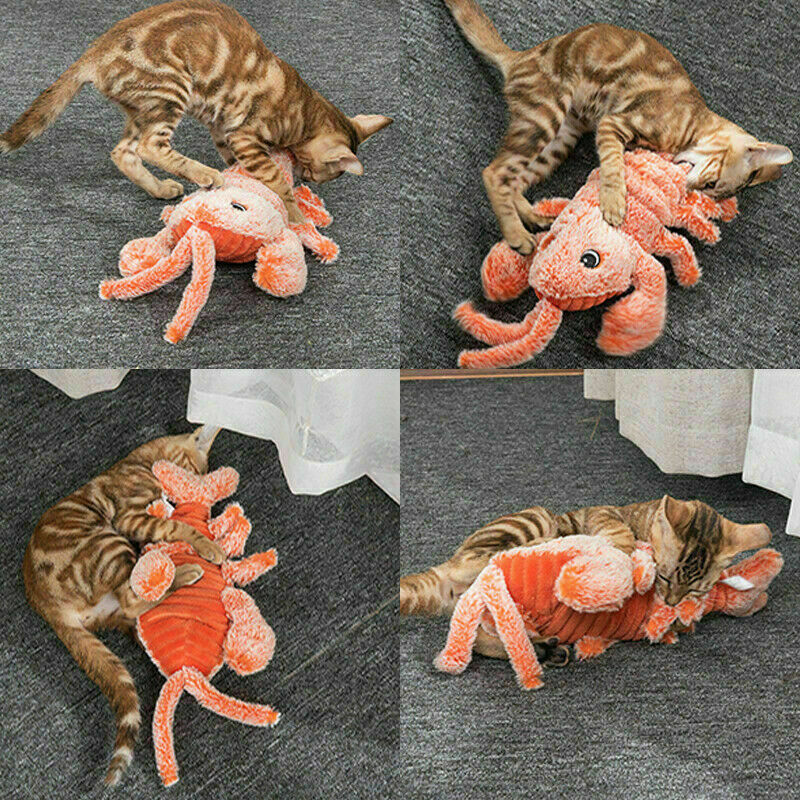 Cat Floppy Interactive Lobster Plush Toy - Image 2