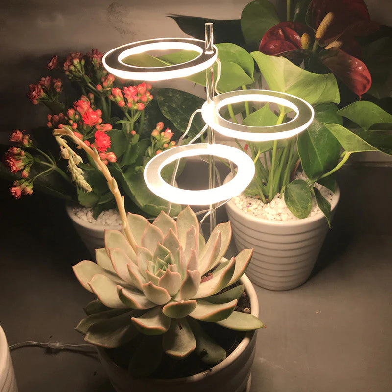 5V Phytolamp LED Plant Light - Image 2