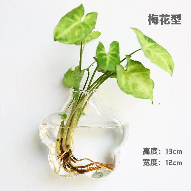 Handmade  New Hexagonal  Wall Clear Terrarium Vase - Image 3