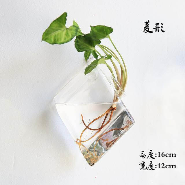 Handmade  New Hexagonal  Wall Clear Terrarium Vase - Image 2