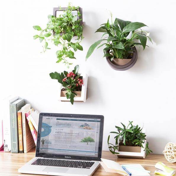 2 Pcs/Lot Wall Hanging Plant Pot - Image 2