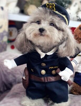 Policeman Dog Costume - Image 3