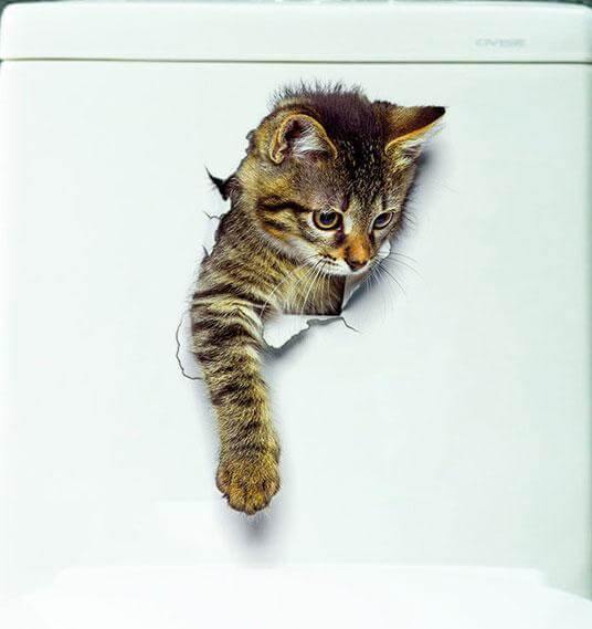 3D  Pet Wall and Bathroom Stickers - Image 2