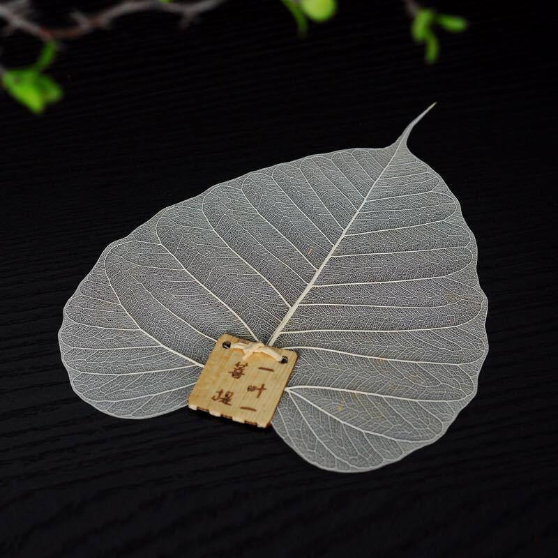 Large Leaf Tea Filter - Image 2