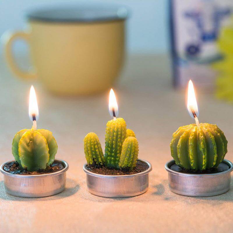 12Pcs Cactus Aroma Candle - Image 2