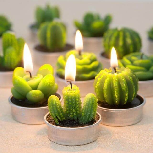 12Pcs Cactus Aroma Candle - Image 3
