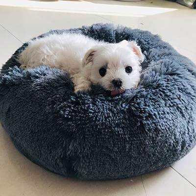 Super Soft Pet Bean Bag - Image 2