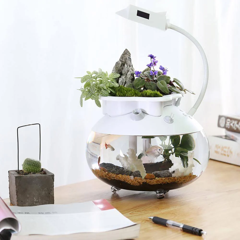Creative Ecological Mini Fish Tanks - Image 3