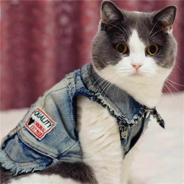 Pet Cowboy Jean Jacket - Image 3