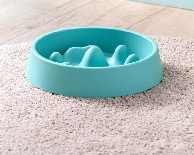 Modern Pet Slow Food Bowl - Image 3