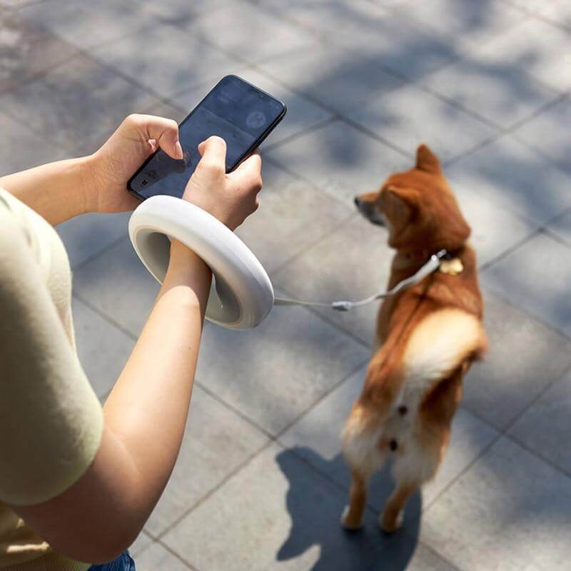 Retractable LED Leash Ring Collar - Image 1