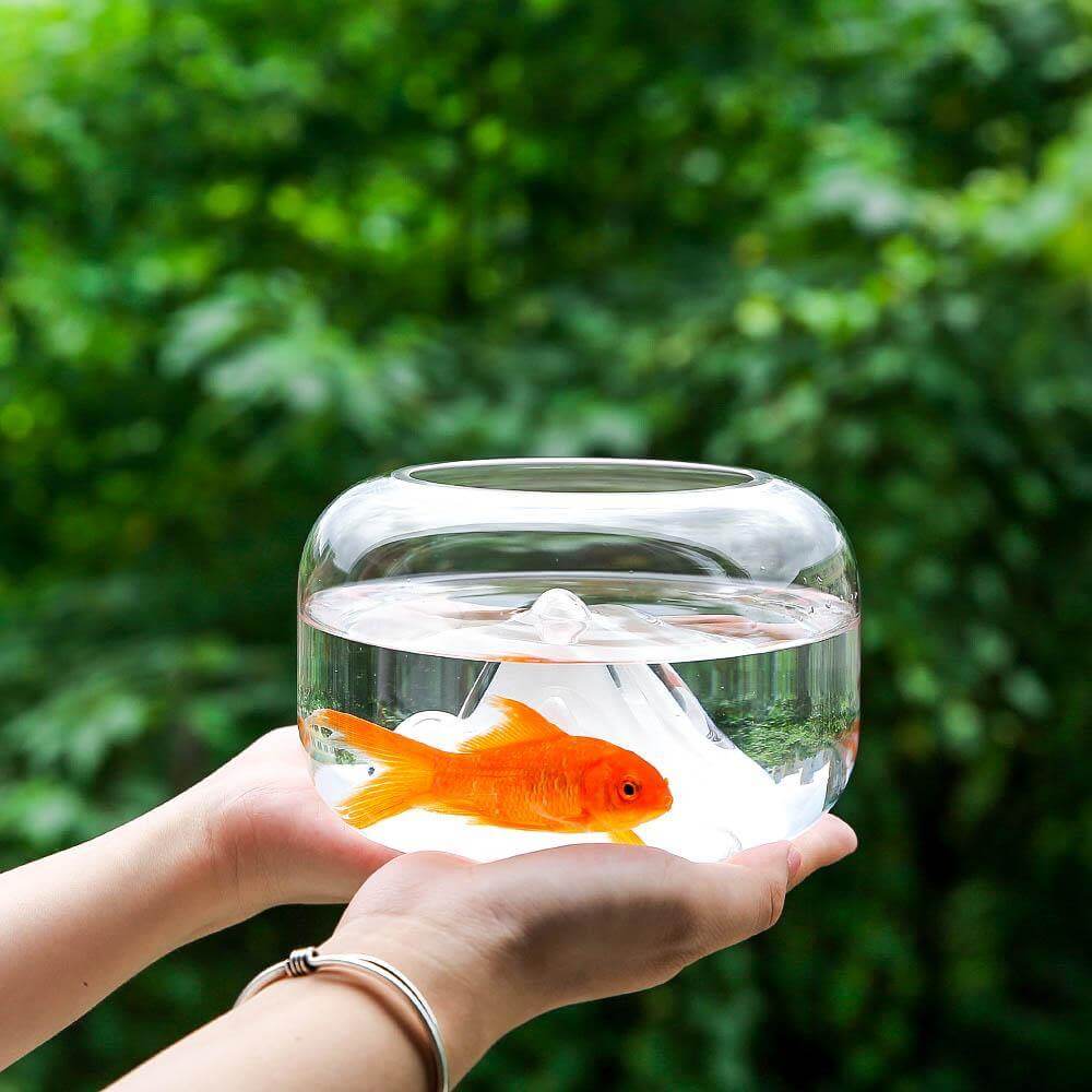 Creative Transparent Snow Mountain Fish Aquariums - Image 3