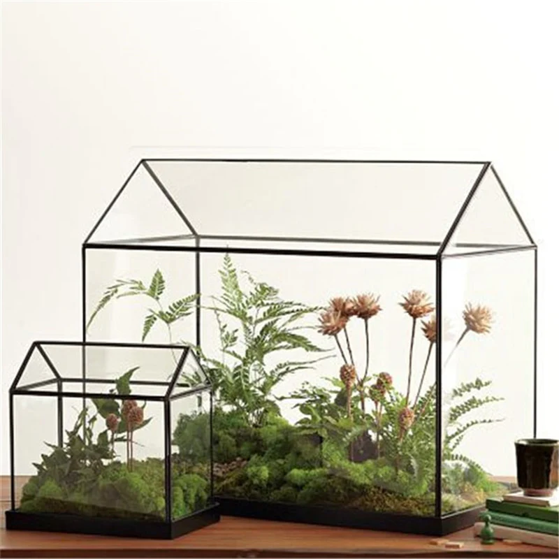 Mini Tabletop Handmade GreenHouse Terrarium - Image 1