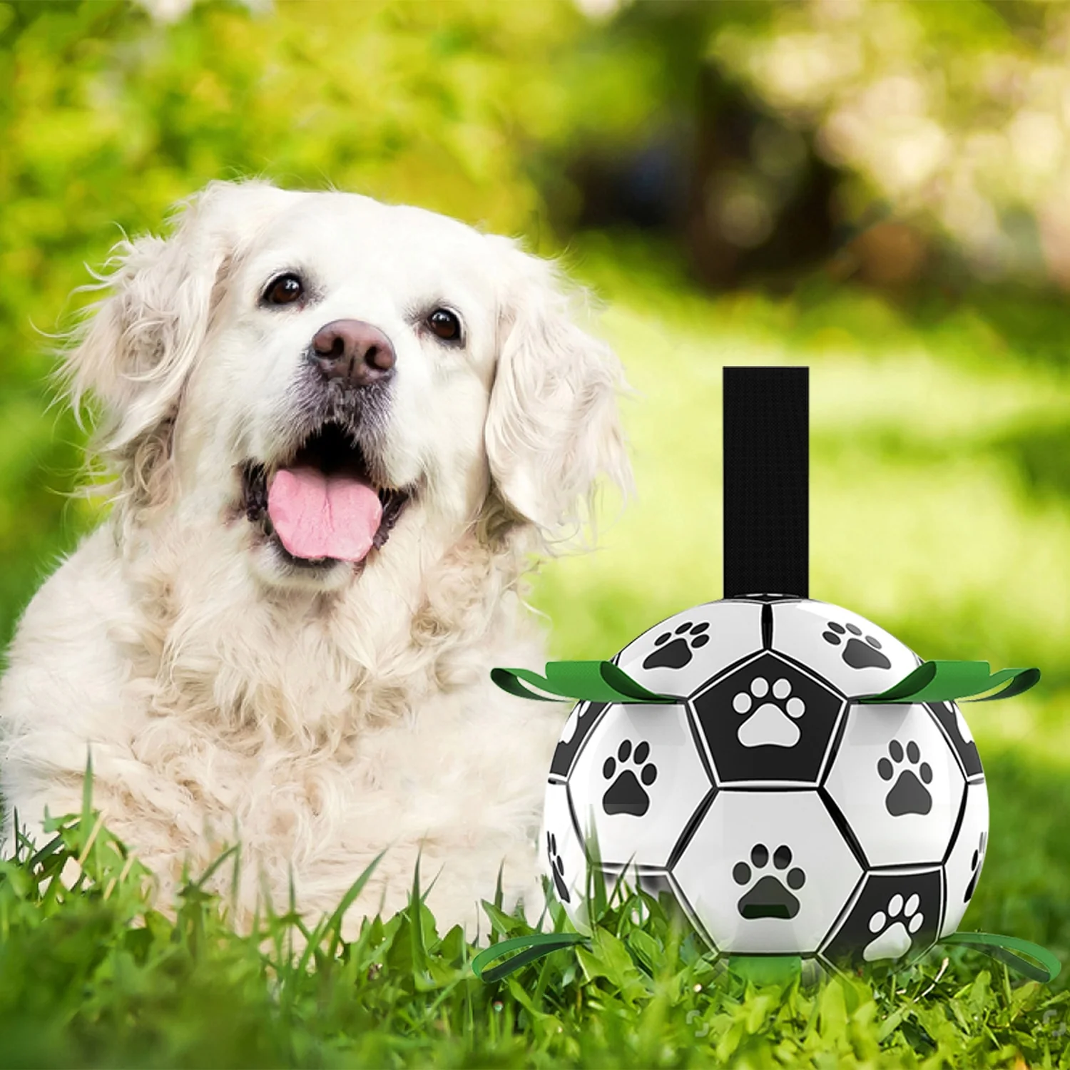 Interactive Pet Training Toy Ball - Image 1